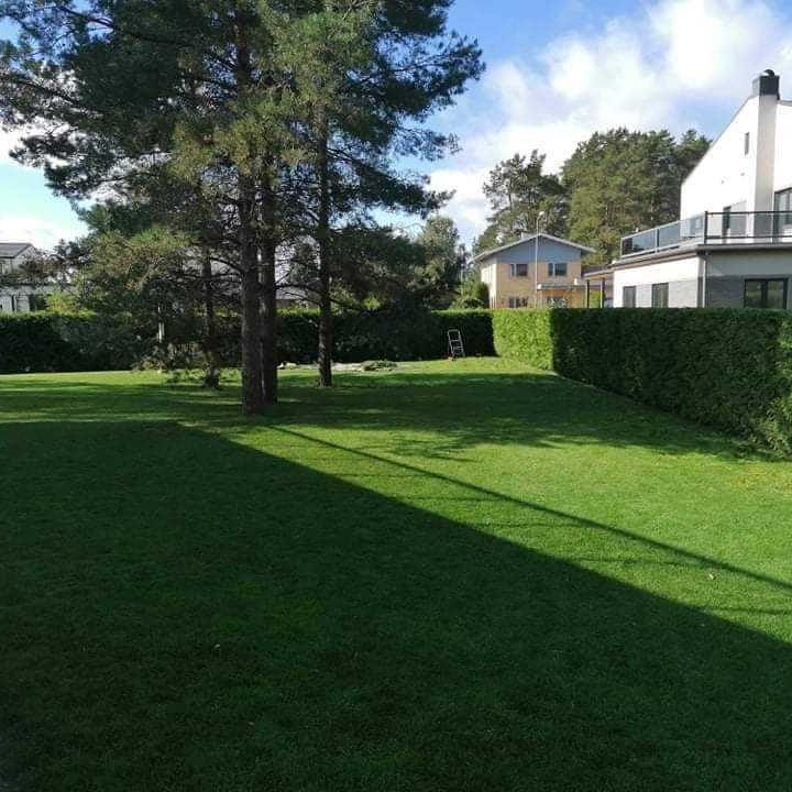 Allalaaditud fail (15)